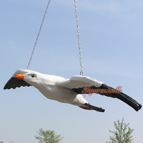Möwe seemöwe meer dekoration - möwe,