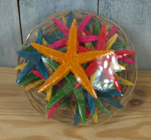 Bunte seesterne korb - ca., 20